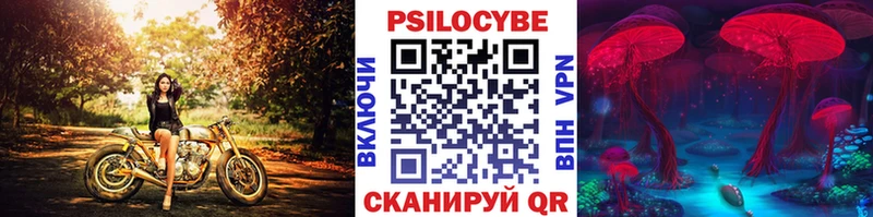 Галлюциногенные грибы Psilocybine cubensis  Рязань 