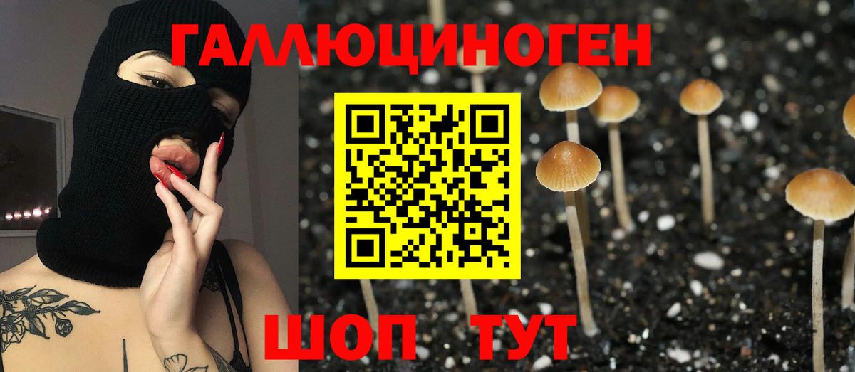 Псилоцибиновые грибы Cubensis Рязань