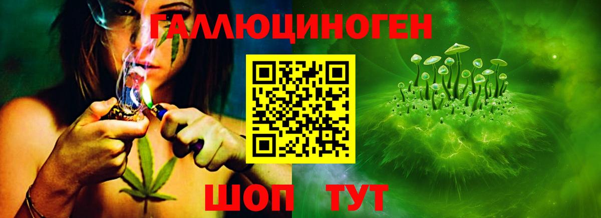 Рязань  Псилоцибиновые грибы GOLDEN TEACHER  как найти   Вход с VPN 