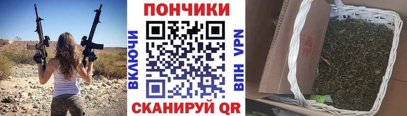 Бошки марихуана сатива  мега как войти  Рязань  где купить наркоту 